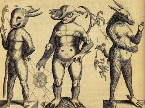 Fortunius Licetus De monstris - 1665 - via Internet Archive