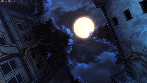 tumblr_p6iynlH8171x8dkuto1_500.gifv