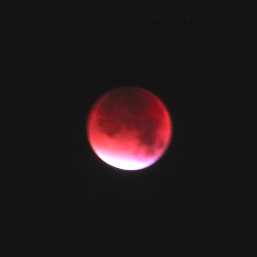 astronemma: A selection of photos I took of last night’s lunar eclipse from Manchester, UK.&nb