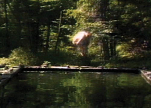 Bill Viola, Reflecting Pool, 1977/79