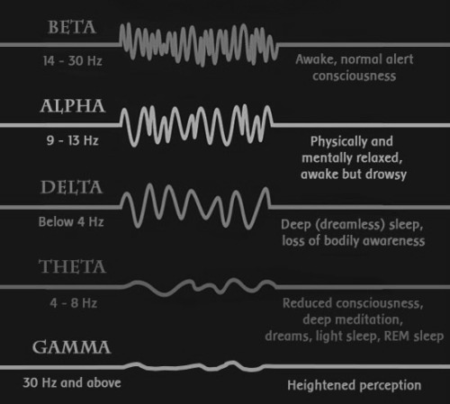 The Brainwave States. Alpha Is About Relaxation, Imagination, Visualization. This Slow Cycle Of Brain