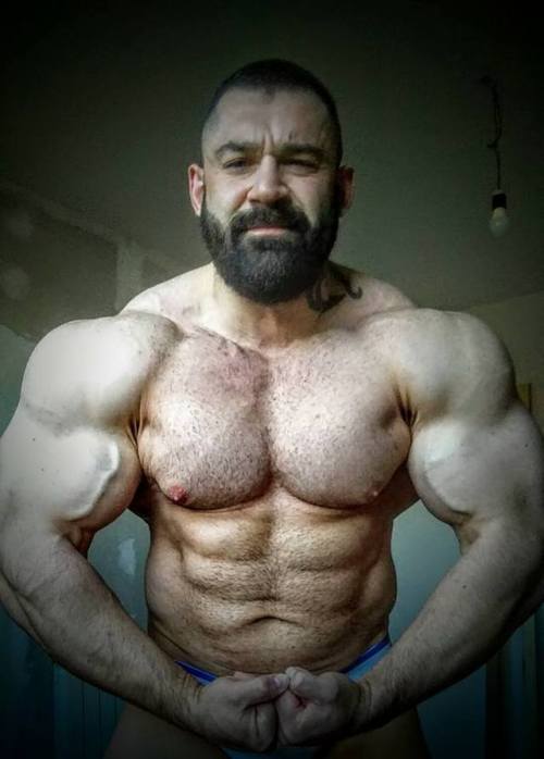 musclelovergr: Italian bodybuilder Stefano Di Muzio See more: musclelovergr.blogspot.gr