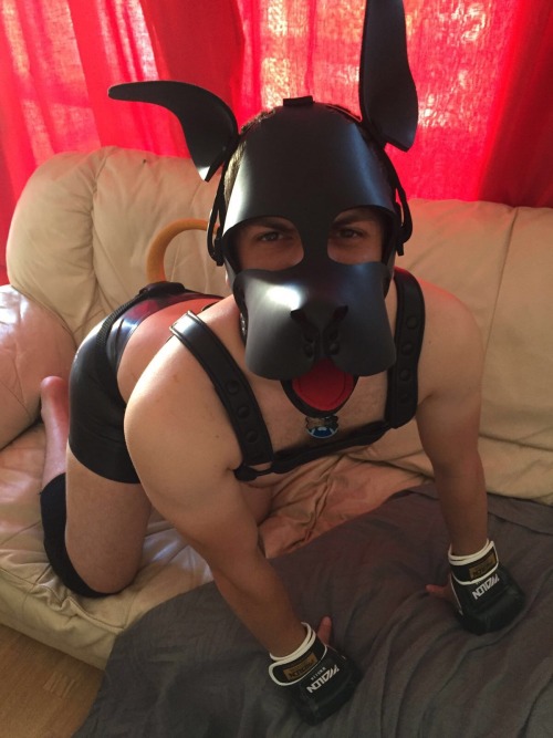 XXX pupfidget1991:  Pupping out :)  photo