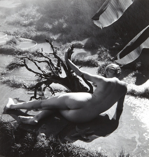 almavio:   André de Dienes (1913-1985) • adult photos