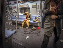 nyc-subway:  Lexington Avenue - 59 Street Station, Q, N, or R Train, 2014.12.26 Source: NYC Subway Rider