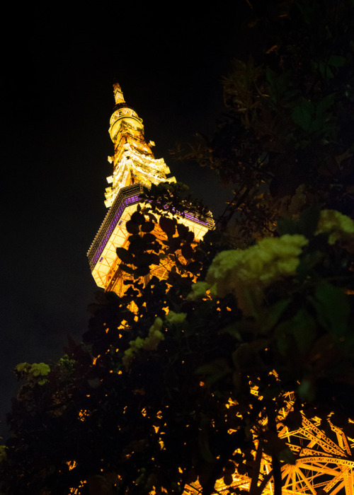 スカイツリーより東京タワーが好き♡location： 東京タワー