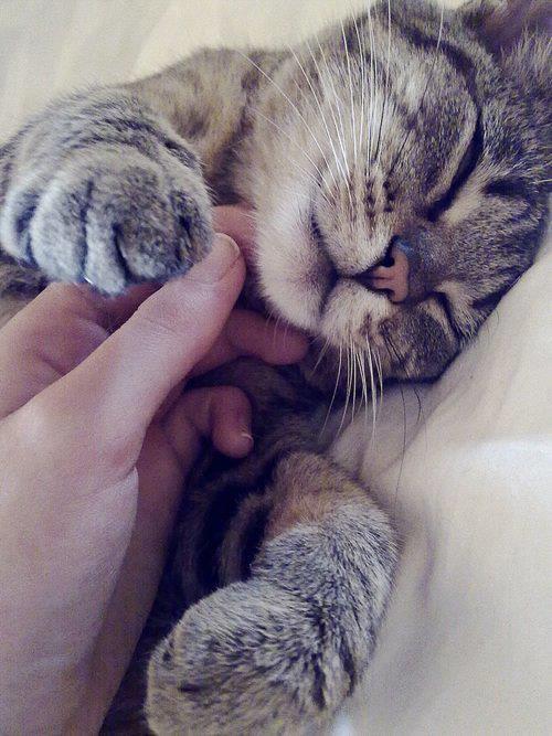 Sweet Moans ❤