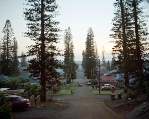 thephotoregistry:Lanai Dusk, 2012 from 49 &amp; 50Richard Renaldi