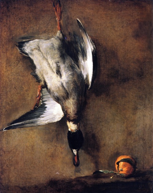 transistoradio:Jean-Baptiste-Simeon Chardin, A Green-Neck Duck with a Seville Orange (1728-30), oil 