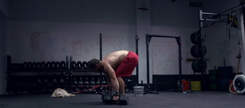 Eat. Lift. Live.