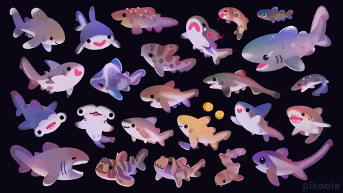 pikaole:Marine life artwork over the past year :)[ Patreon / twitter / insta / shop ]