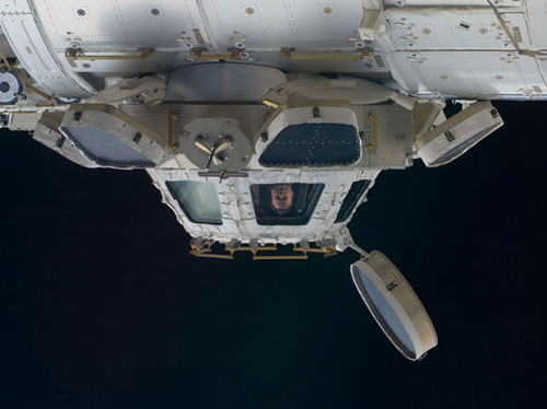 gregmelander:  HIGH SHOTS Wouldn’t this be fun…Photographing Earth from the Cupola on the International Space Station via yimmyayo 