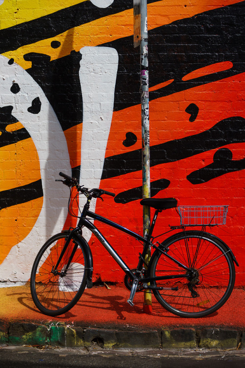 Fitzroy Bike