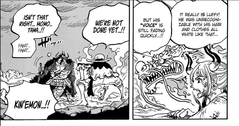 basedsimp — one piece chapter 1045