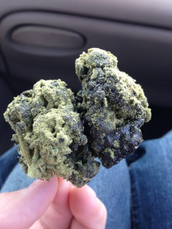 lungsofsteeel:  highnicetomeetyou:  halfbaked-:  Poison Ivy; hash infused, dipped in hash, and sprayed with keif.  holy fuck  Jesus christ 