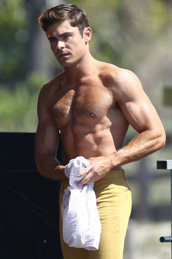 goantinoo3565:  shirtlessmalecelebs:  Zac