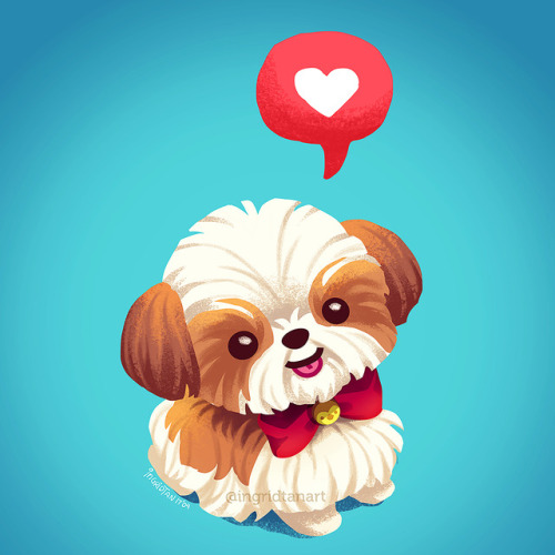 ingridtan:Dedicated to all the Shih Tzu lovers.