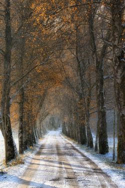 hurtend:  Autumn versus Winter ~ Maltan Anton