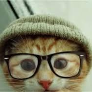 watchoo lookin at? ain&rsquo;t u never seen a cat wearing glasses?