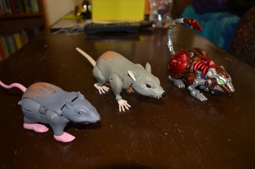 Presenting in-hand images of the new generations Rattrap!