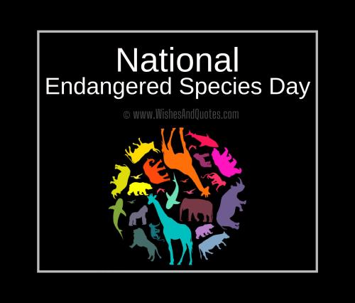 Friday, May 20, is Endangered Species Day. Take a look at the poster above promoting the special day