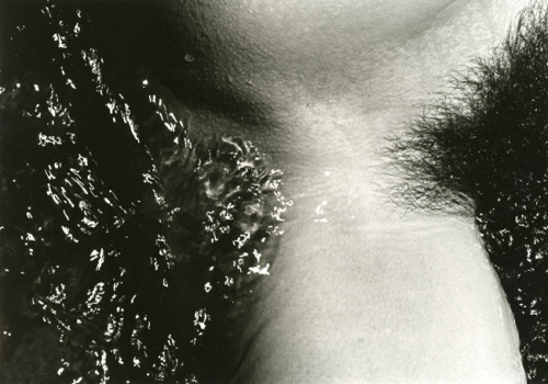  Chris Enos Nude #8 1974  voll schön