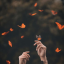 butterfly--kisses