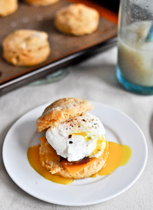 Sweet potato breakfast biscuits