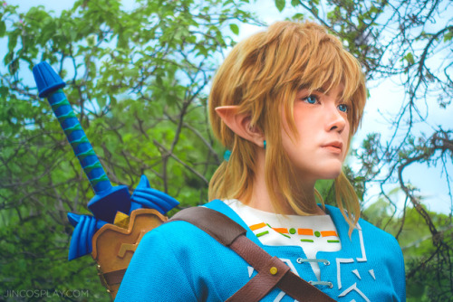 “Link… You are our final hope.” Excuuuse me, Princess! That’s a lot of pres