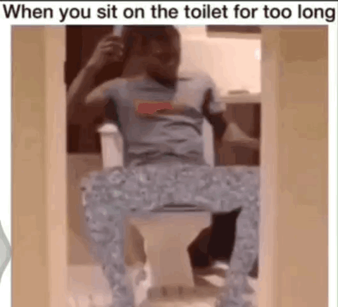 Dank Memes on X: I sit on the toilet  / X