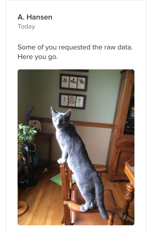 voidbat: umbriant:  umbriant:  in a stroke of art, my ap chemistry teacher accidentally sent our class a picture of her cat  some of you asked for the picture so here it is  this is as raw as data gets. 