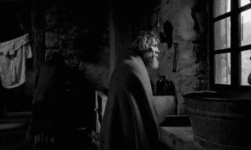 artfilmfan:  The Turin Horse (Béla Tarr, 2011) “Theirs is the moment… nature, infinite silence.” 