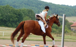 horses women and man around the world