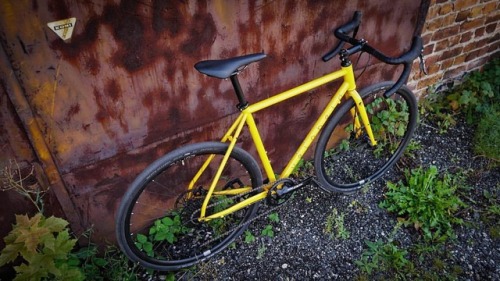 veloheld: Melon yellow gravel racer… #colorfriday (hier: veloheld)