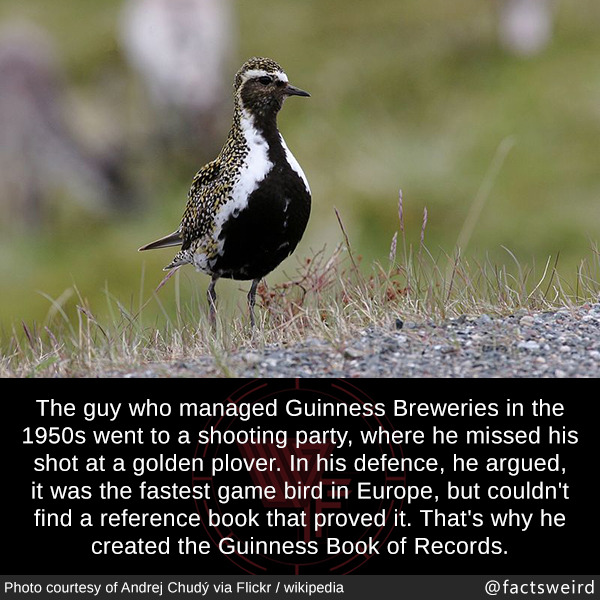 mindblowingfactz:  The guy who managed Guinness Breweries in the 1950s went to a