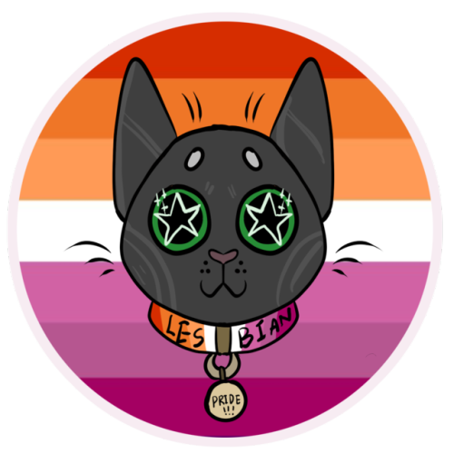 LGBT PRIDE CAT STICKERS -GAY, LESBIAN, BISEXUAL, PANSEXUAL, TRANSGENDER, NONBINARY + ASEXUAL DESIGNS