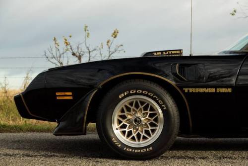 bigboppa01:1979 Pontiac Firebird Trans Am, 455 big block