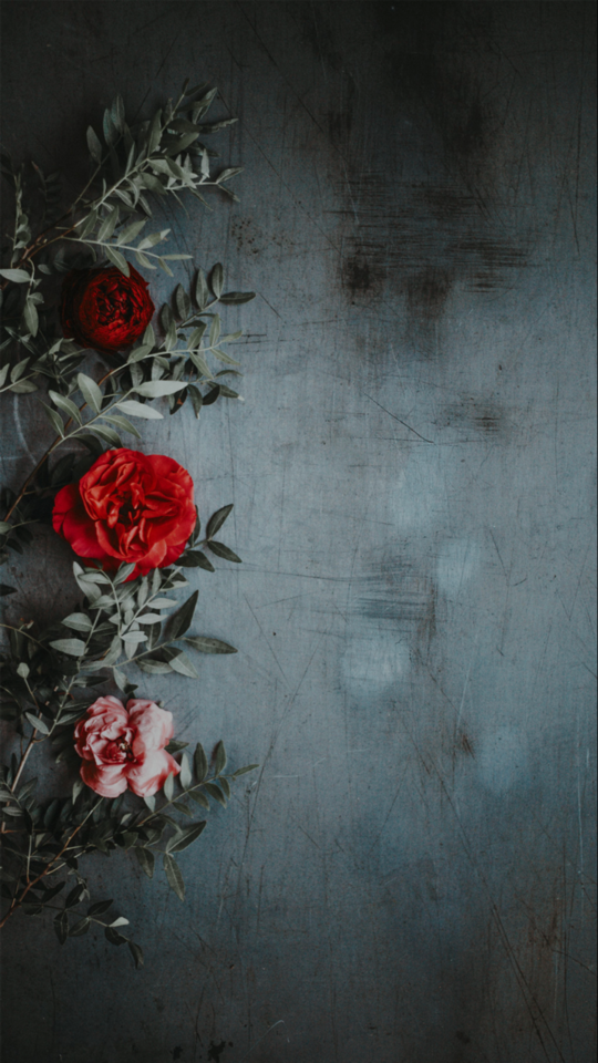 FLORAL I DON’T OWN OR TAKE ANY CREDIT FOR ANY OF THESE PICTURES PLEASE LIKE IF YOU SAVED ANY OF THESE