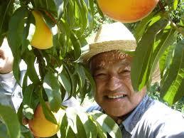 Foodie Friday: everything’s coming up peaches for David Mas Masumoto! His new book is part coo