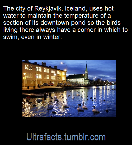 ultrafacts:  Source: [x]Click HERE for more facts!