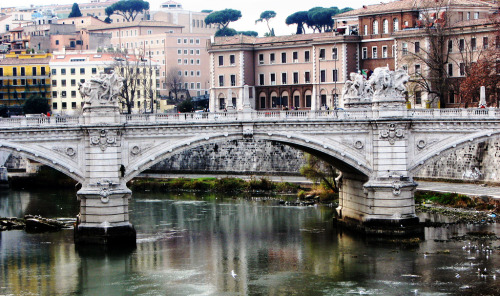 PHOTO of the day | March 20, 2013 | TIBER River