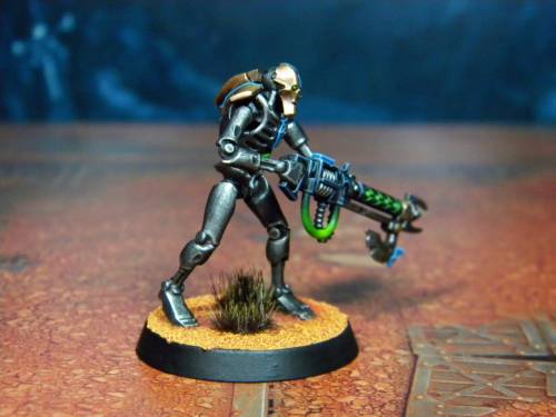  The tenth Necron Warrior of Nihilakh Dynasty. 