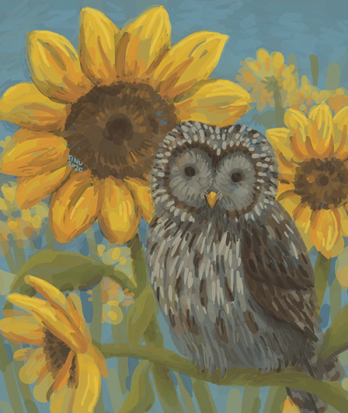 A birthday gift. Ural owl and sunflowers!3.12.2020