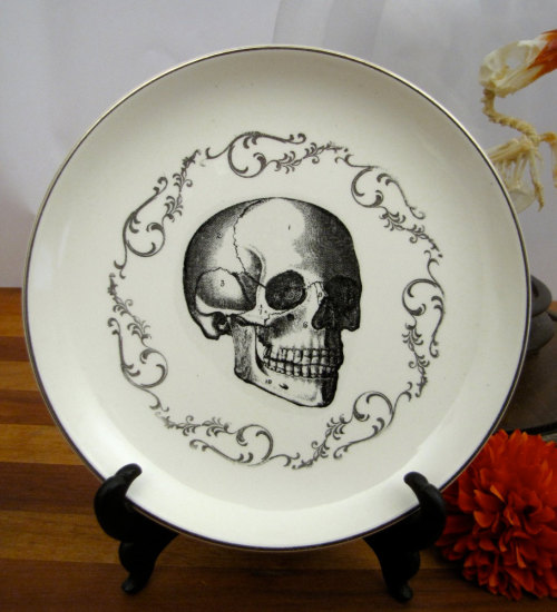 little-bunnys-creepies:   Anatomy based dishes. I want all of them….. Most can be bought here : http://goreydetails.net/shop/index.php?main_page=index&cPath=38_82_87Or here: http://www.etsy.com/listing/113084065/anatomical-skull-plate-chase-and-scout