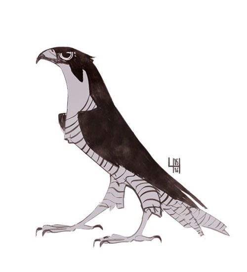 hepho: Small mitnight sketch of a peregrine falcon :)