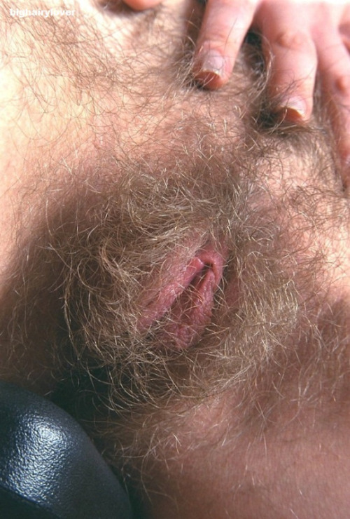 http://bellyhairandracingstripes.tumblr.com/post/142907403336