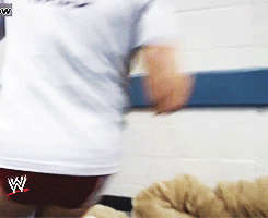 indycena:  *gasp* A BEAR! 