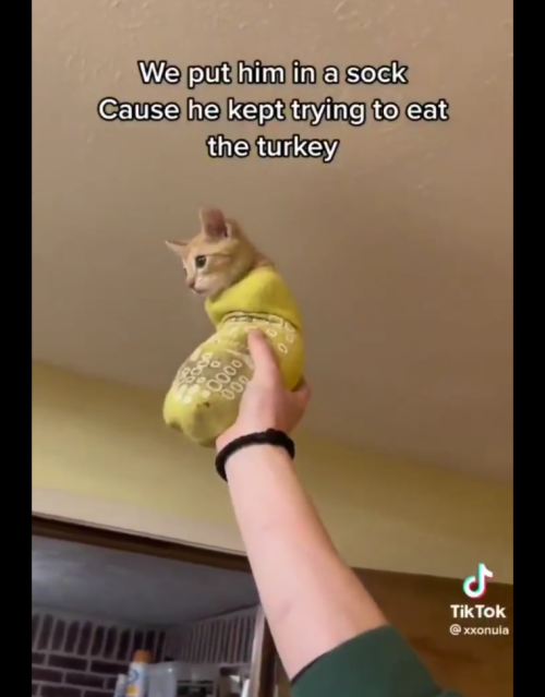 Baby Shadow In A Sock