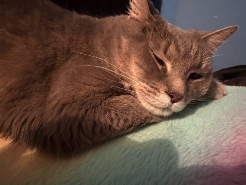 Good Morning (Nyla Wants To Sleep In).