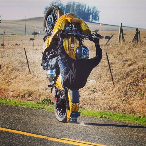 #WheelieWednesday action from @unknownindustries… because you can stunt a Harley, too! #motor